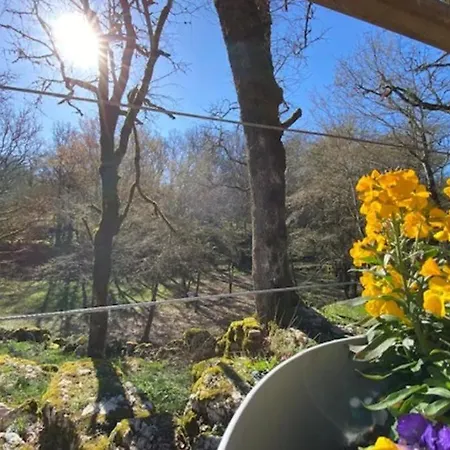 Сasa de vacaciones La Jonquille Gramat